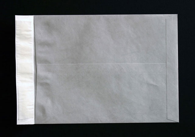 100 Count Columbian CO802 10x13-Inch Tyvek White Envelopes 