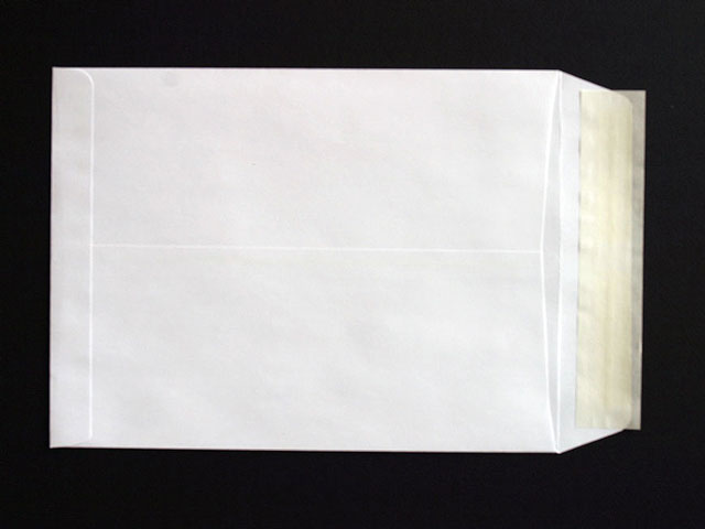 peel and stick catalog envelope