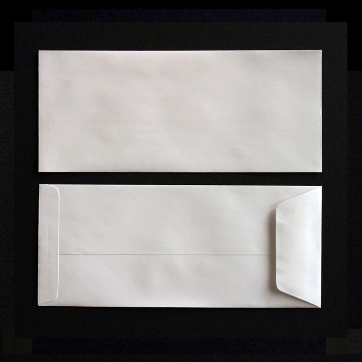 policy envelopes printed for less in four sizes